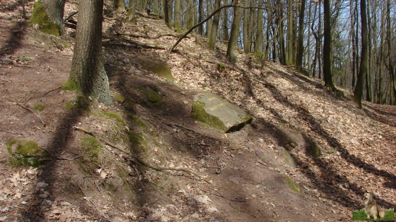 Ritterstein Nr. 297-4a Loogfels - Waechterstein mit Handgemal 12. Jhrdt. 300 m.JPG - Ritterstein Nr.297 Loogfels - Waechterstein mit Handgemal 12. Jhrdt. 300 m